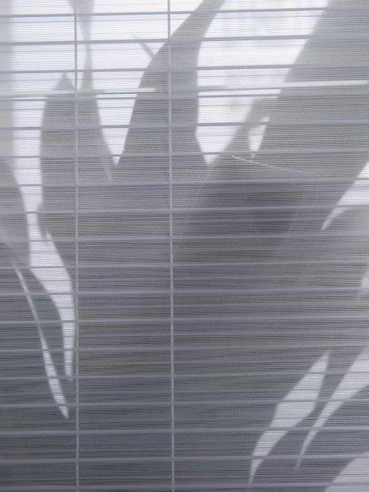 Cortinas Celulares Día y Noche